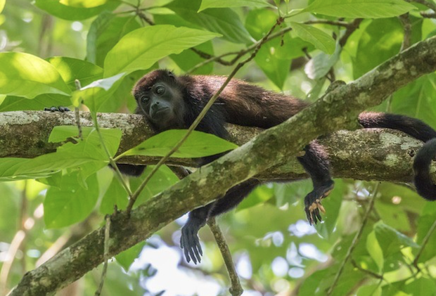 Costa Rica Family Vacation