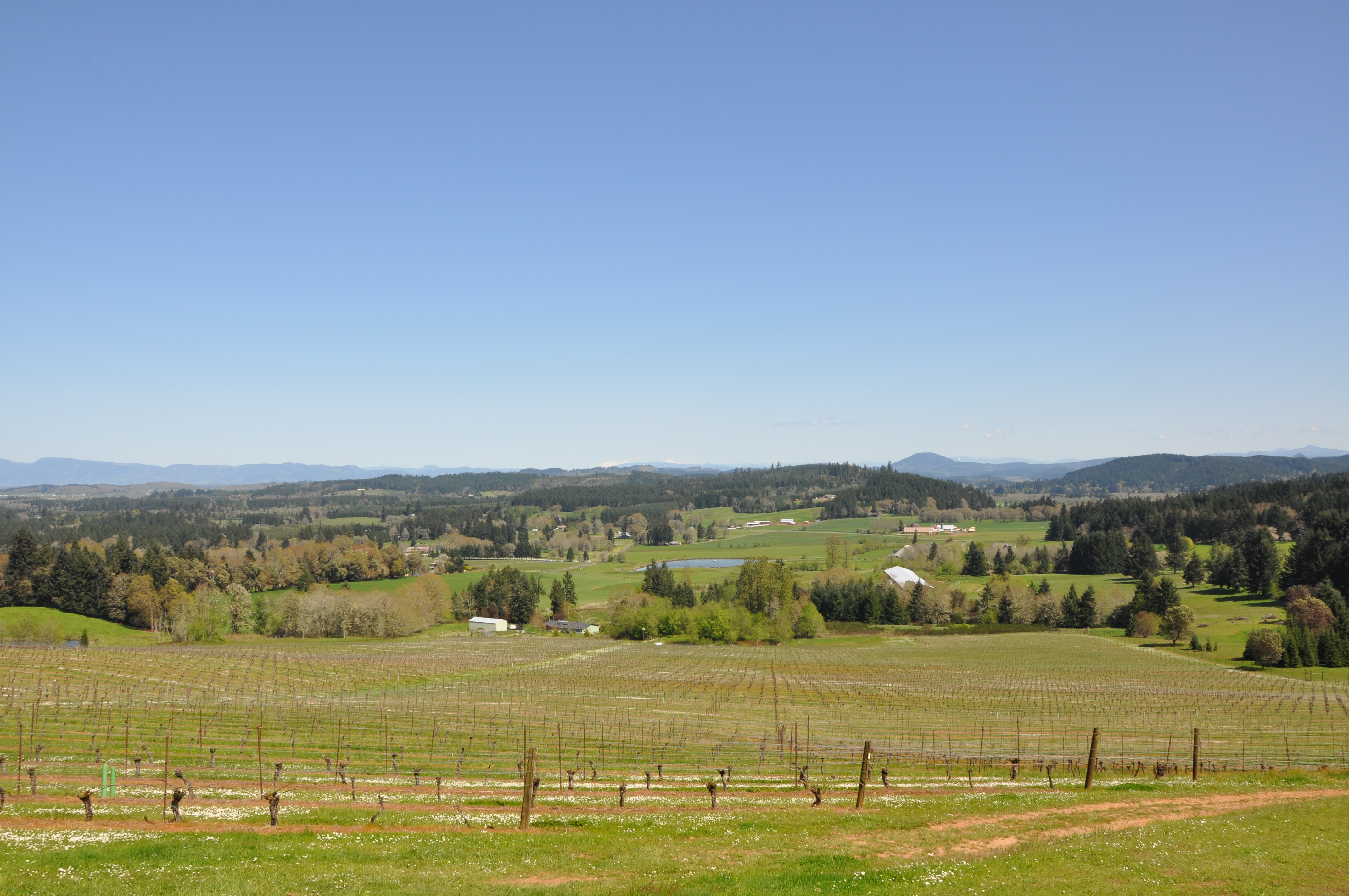 Sarver Winery outside Eugene, Oregon