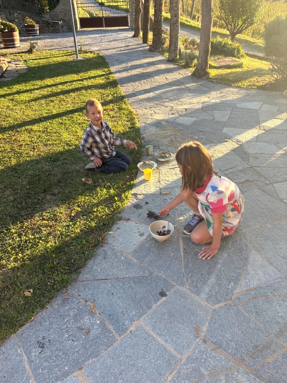 Switzerland, Italy & Disney Cruise