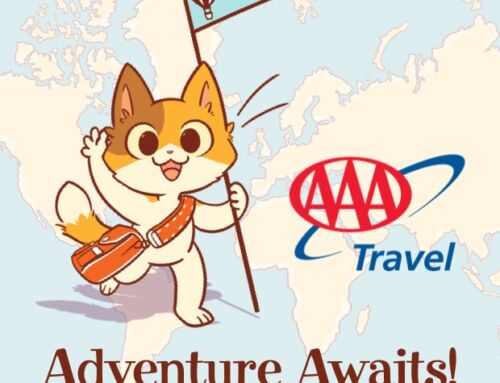 KeeKee is AAA Official Kid’s Travel Partner