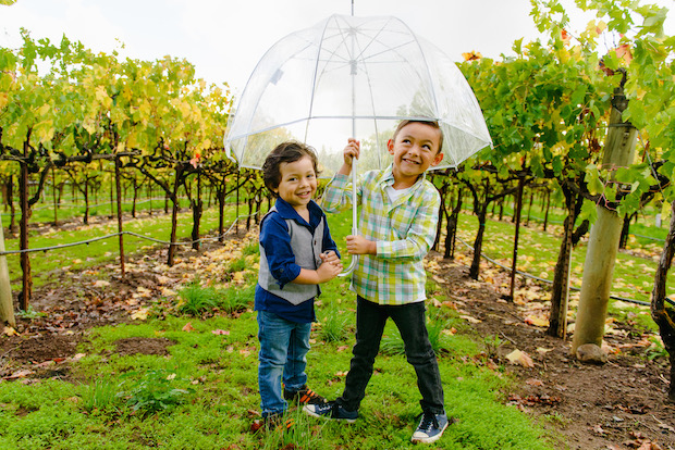 California Wineries with Kids