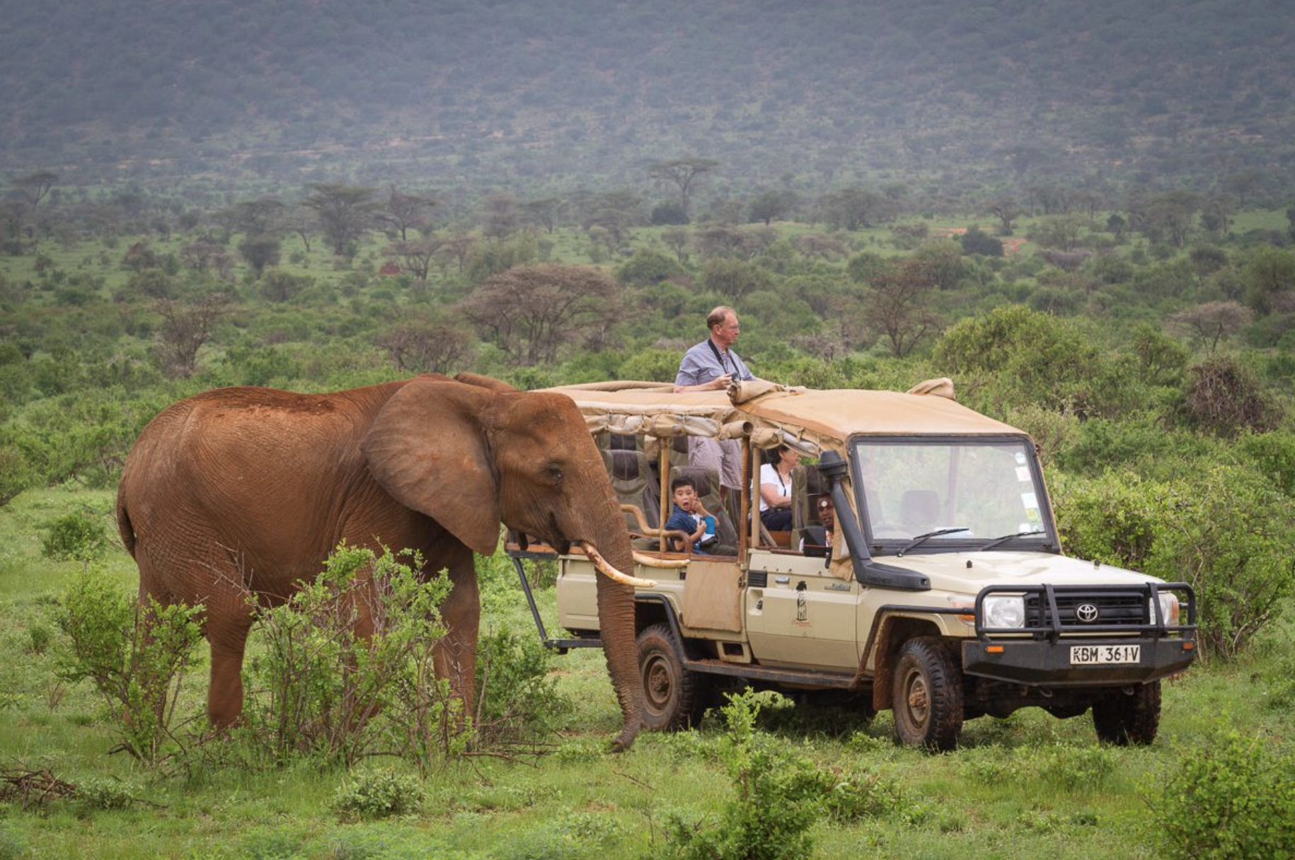 Kenya Safari