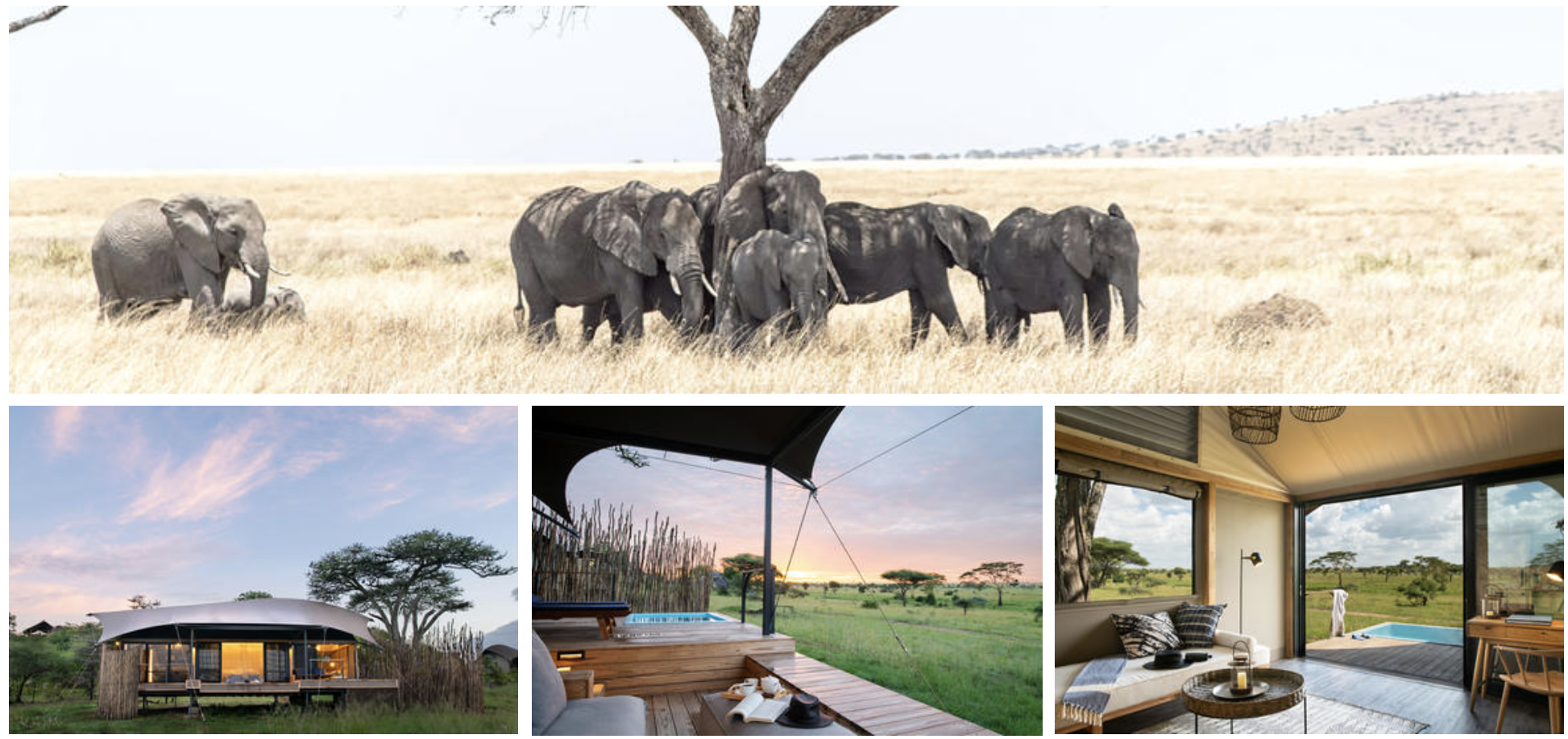 Lemala Camps and Lodges Tanzania Africa