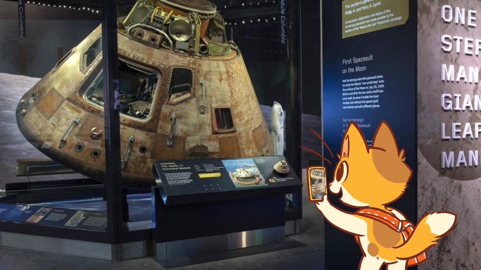 body_dc_space