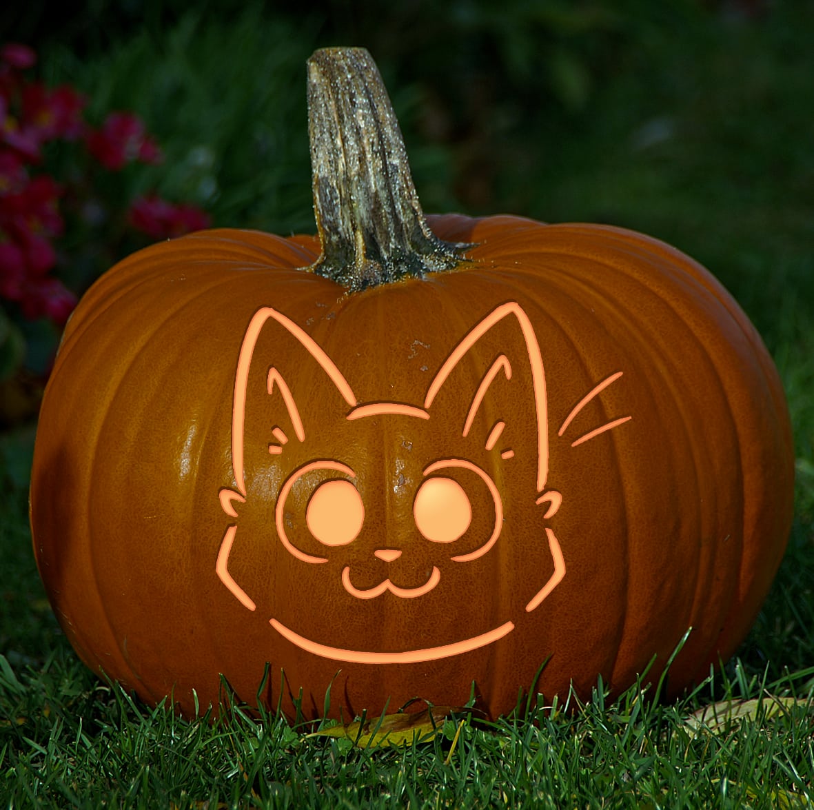 Halloween Activities Sign Up KeeKee s Big Adventures halloween-activities-sign-up-keekee-s-big-adventures